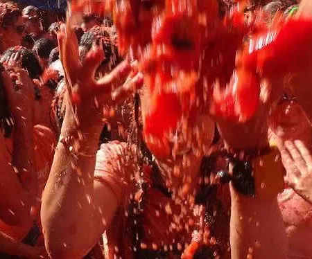 فندق Festival *