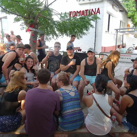 Festival *