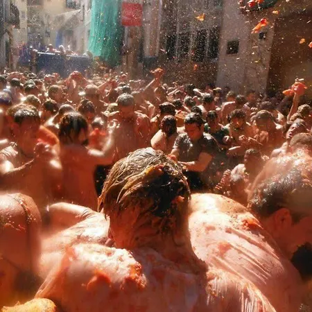 호텔 Festival