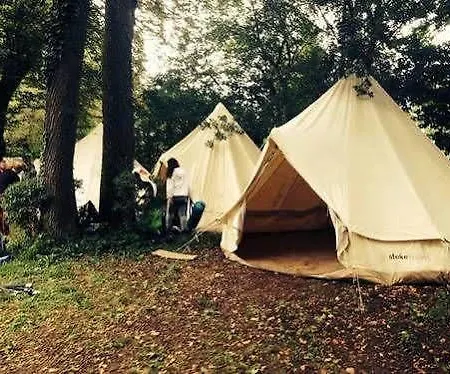 호텔 Festival *