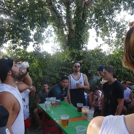 Festival *